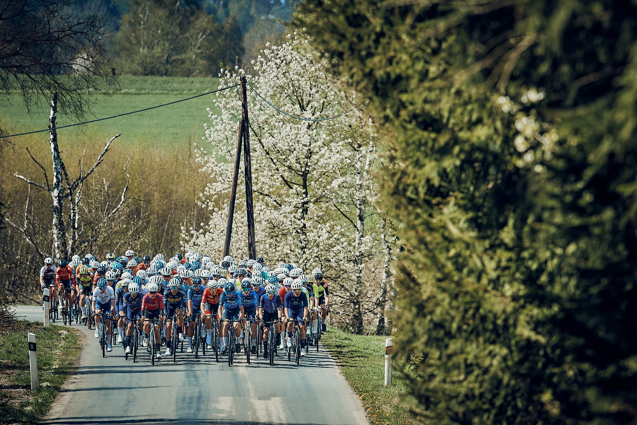 michal-kollert-zavod-sezona-cyklistika-pulsmetry